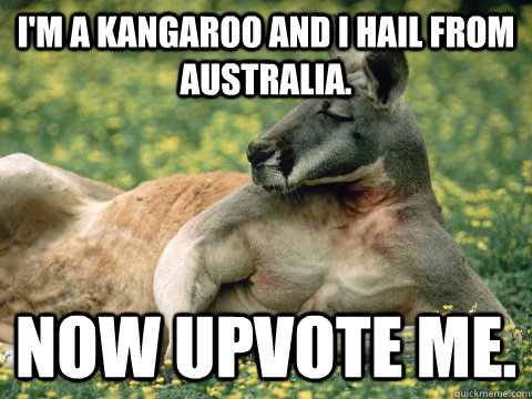 I'm a kangaroo and i hail from australia. Now upvote me. - I'm a kangaroo and i hail from australia. Now upvote me.  Quickmeme Critic Kangaroo