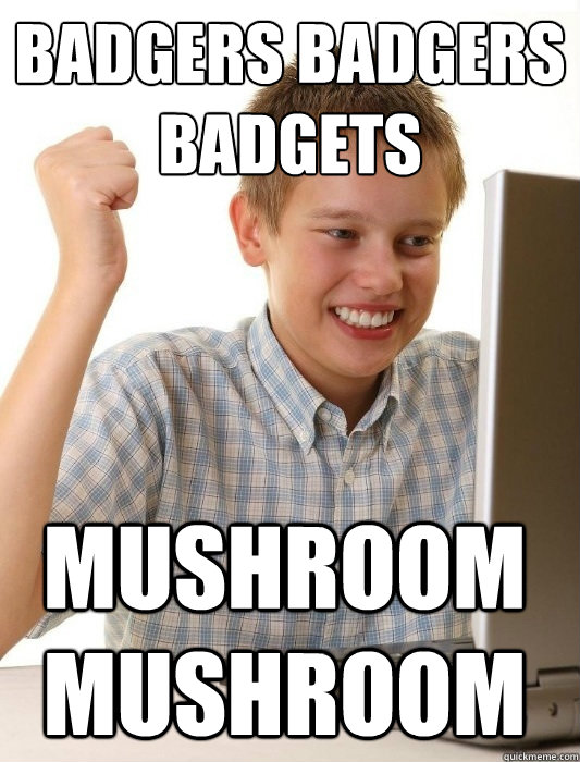 BADGERS BADGERS BADGETS MUSHROOM MUSHROOM  First Day on the Internet Kid