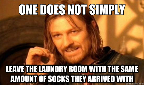 One Does Not Simply Leave the laundry room with the same amount of socks they arrived with  Boromir