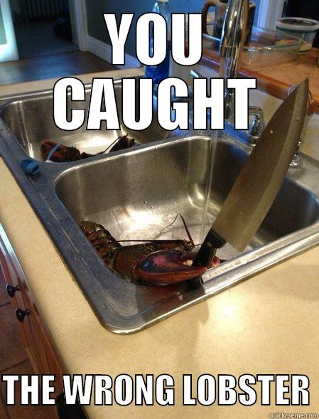  THE WRONG LOBSTER - YOU CAUGHT  THE WRONG LOBSTER You caught the wrong one