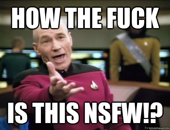 how the fuck is this NSFW!?  Annoyed Picard HD