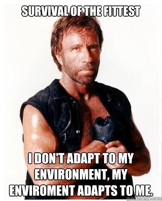 survival of the fittest I don't adapt to my environment, my enviroment adapts to me. - survival of the fittest I don't adapt to my environment, my enviroment adapts to me.  Chuck Norris
