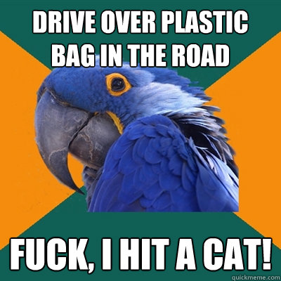 DRIVE OVER PLASTIC BAG IN THE ROAD FUCK, I HIT A CAT!  Paranoid Parrot