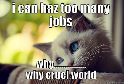 I CAN HAZ TOO MANY JOBS WHY................ WHY CRUEL WORLD First World Problems Cat