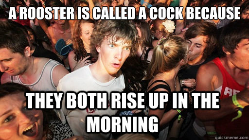A rooster is called a cock because they both rise up in the morning  Sudden Clarity Clarence