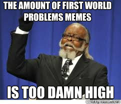 The amount of first world problems Memes  is too damn high  to damn high