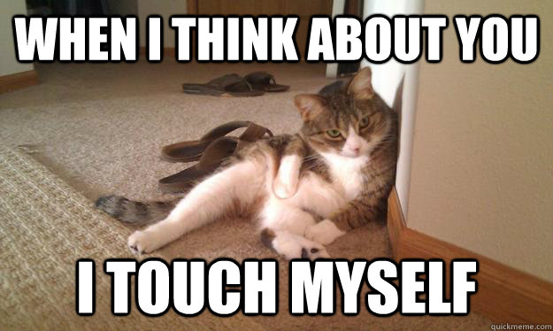 When I Think About You I Touch Myself - When I Think About You I Touch Myself  LilPuss