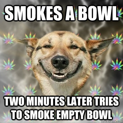smokes a bowl two minutes later tries to smoke empty bowl  Stoner Dog
