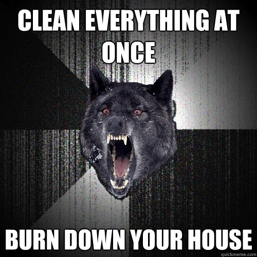 clean everything at once burn down your house  Insanity Wolf