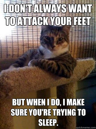 I don't always want to attack your feet  but when I do, I make sure you're trying to sleep.  The Most Interesting Cat in the World