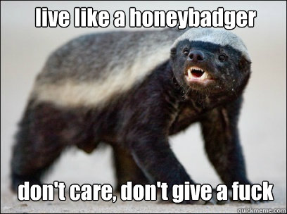 live like a honeybadger don't care, don't give a fuck  Honey Badger