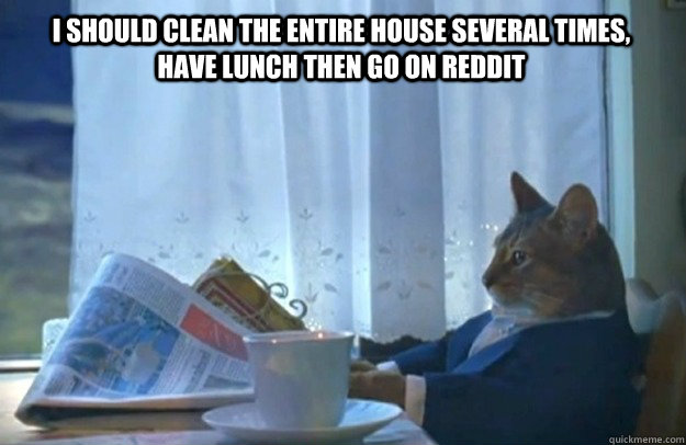I should clean the entire house several times, have lunch then go on reddit  Sophisticated Cat