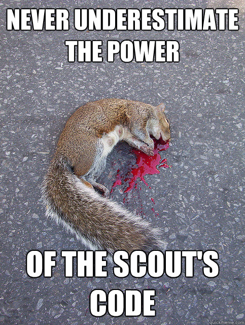 Never underestimate the power of the scout's code - Never underestimate the power of the scout's code  Captain Teemo
