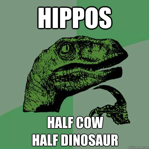 Hippos half cow 
half dinosaur
  Philosoraptor