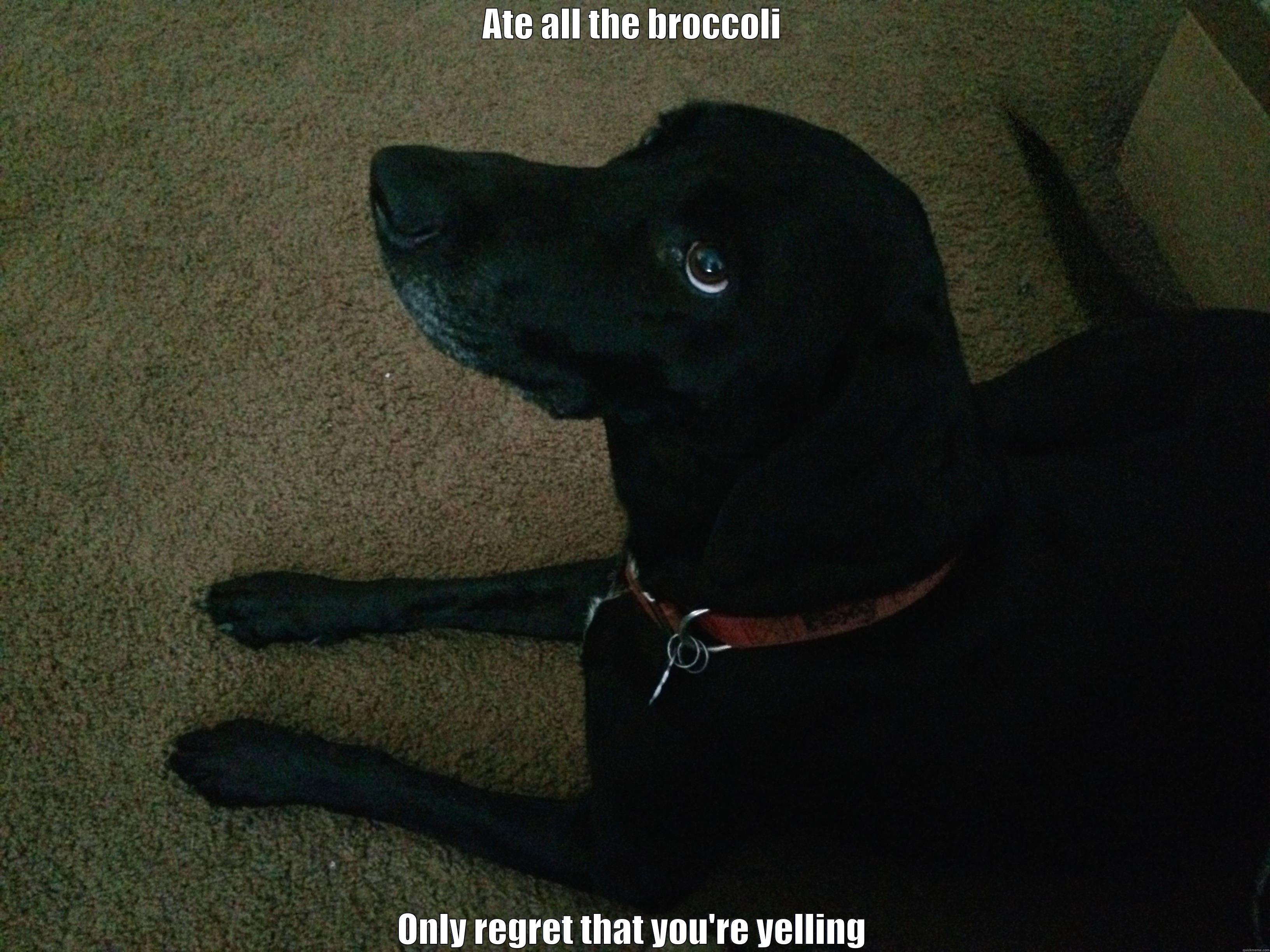 ATE ALL THE BROCCOLI ONLY REGRET THAT YOU'RE YELLING Success Kid