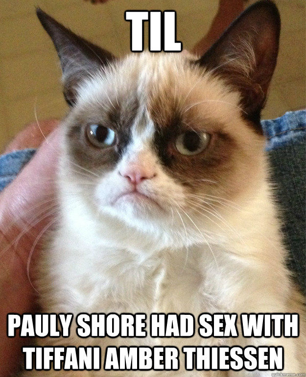 TIL Pauly shore had sex with tiffani amber thiessen - TIL Pauly shore had sex with tiffani amber thiessen  Grumpy Cat