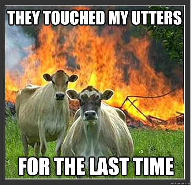 THEY TOUCHED MY UTTERS FOR THE LAST TIME   Evil cows
