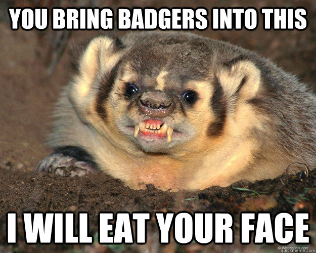 YOU BRING BADGERS INTO THIS I WILL EAT YOUR FACE - YOU BRING BADGERS INTO THIS I WILL EAT YOUR FACE  Misc