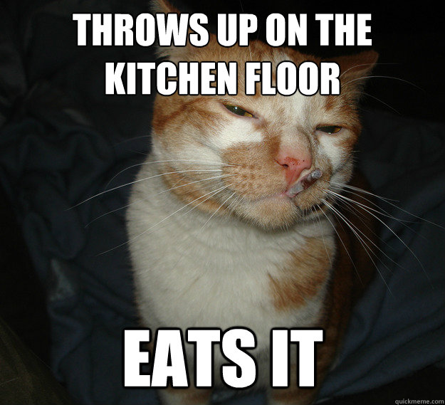 Throws up on the kitchen floor EATS IT  Cool Cat Craig