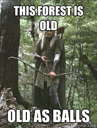 This forest is old old as balls  Legolas