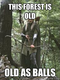 This forest is old old as balls - This forest is old old as balls  Legolas