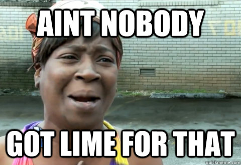 Aint nobody  got lime for that  aint nobody got time