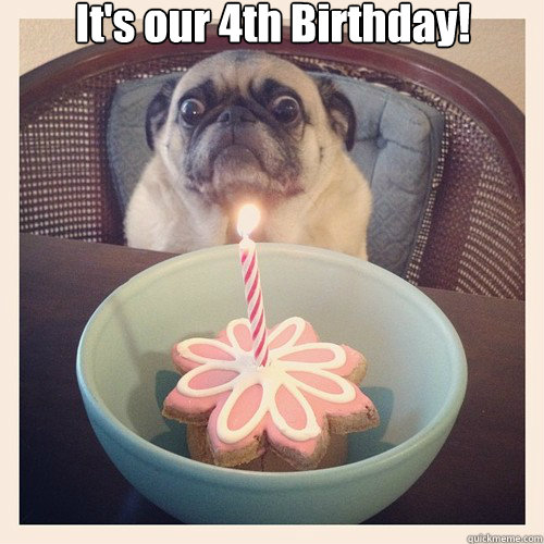It's our 4th Birthday!   Birthday Pug