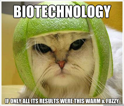 Biotechnology If Only all its results were this warm & Fuzzy  BioTech