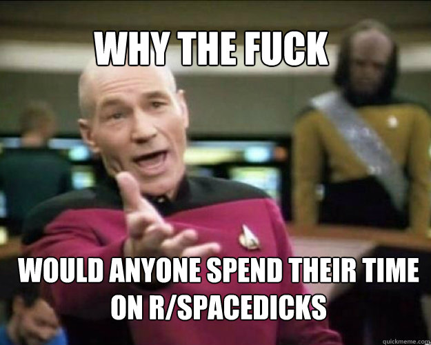 WHY THE FUCK Would anyone spend their time on r/spacedicks   Why the fuck