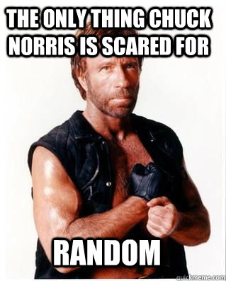 The only thing chuck norris is scared for Random  