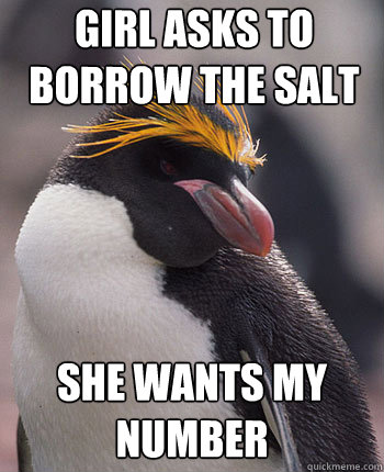 Girl asks to borrow the salt she wants my number  Socially Overconfident Penguin