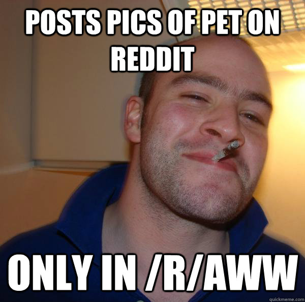 posts pics of pet on reddit only in /r/aww - posts pics of pet on reddit only in /r/aww  Misc