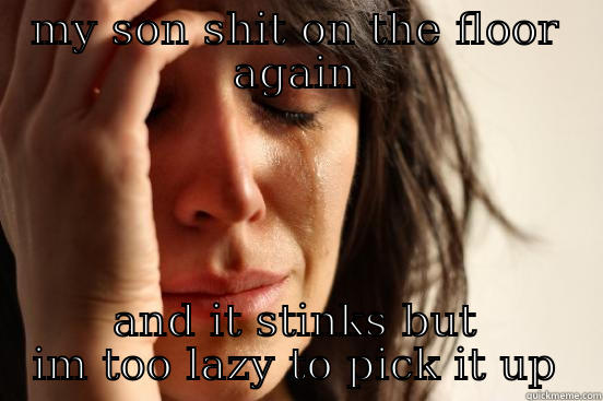 MY SON SHIT ON THE FLOOR AGAIN AND IT STINKS BUT IM TOO LAZY TO PICK IT UP First World Problems