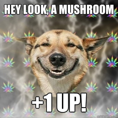 hey look, a mushroom +1 up!  Stoner Dog