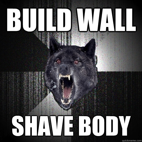BUILD WALL SHAVE BODY  Insanity Wolf
