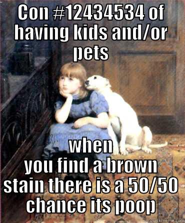 CON #12434534 OF HAVING KIDS AND/OR PETS WHEN YOU FIND A BROWN STAIN THERE IS A 50/50 CHANCE ITS POOP Misc