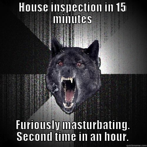 HOUSE INSPECTION IN 15 MINUTES FURIOUSLY MASTURBATING. SECOND TIME IN AN HOUR. Insanity Wolf