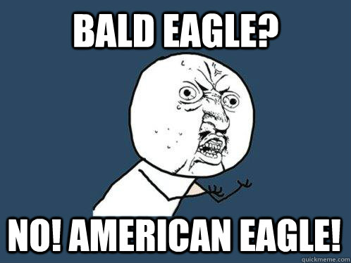 BALD Eagle? NO! AMERICAN EAGLE!  Y U No