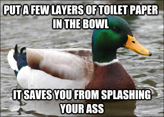 Put a few layers of toilet paper in the bowl it saves you from splashing your ass - Put a few layers of toilet paper in the bowl it saves you from splashing your ass  Actual Advice Mallard