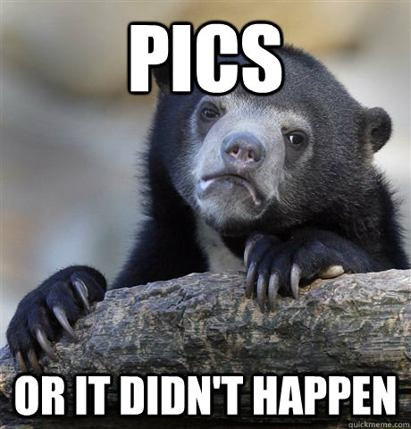 pics or it didn't happen  Confession Bear