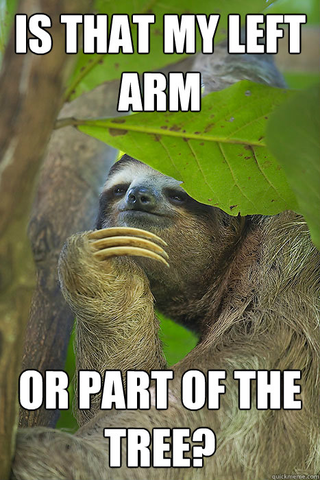 is that my left arm or part of the tree? - is that my left arm or part of the tree?  Philososloth