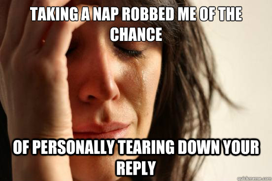 Taking a nap robbed me of the chance of personally tearing down your reply  First World Problems