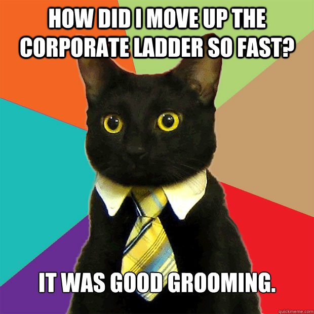 How did I move up the corporate ladder so fast? It was good grooming. - How did I move up the corporate ladder so fast? It was good grooming.  Business Cat