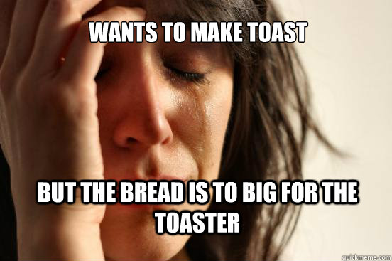 Wants to make toast but the bread is to big for the toaster  First World Problems
