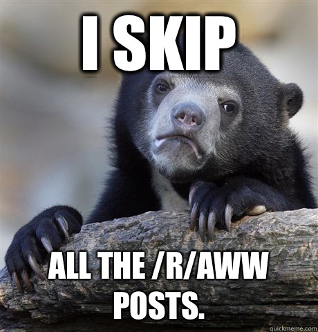 I skip All the /r/aww posts. - I skip All the /r/aww posts.  Confession Bear