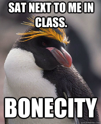 sat next to me in class. Bonecity  Socially Overconfident Penguin