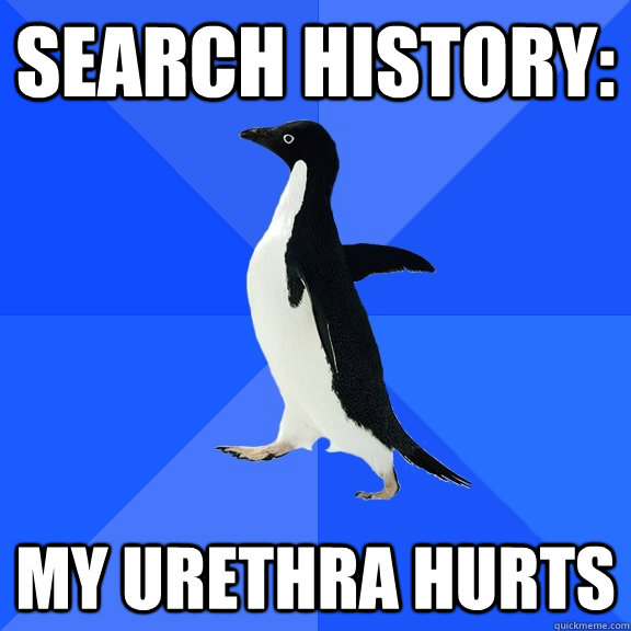 Search History: My urethra hurts  Socially Awkward Penguin