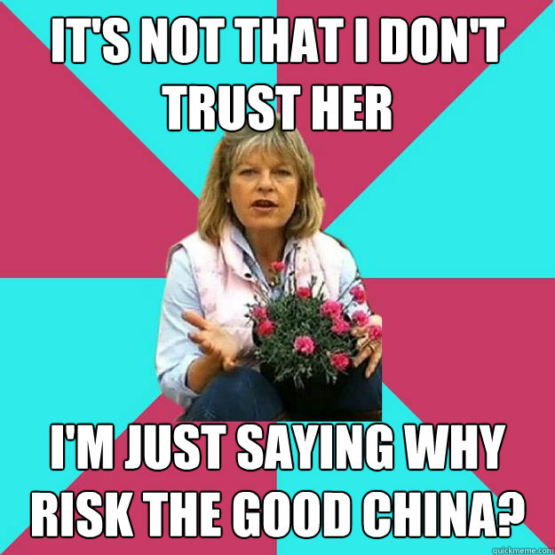 It's not that I don't trust her I'm just saying why risk the good china?  SNOB MOTHER-IN-LAW