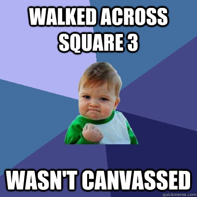 Walked across Square 3 wasn't canvassed  Success Kid