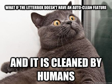 What if the litterbox doesn't have an auto-clean feature And it is cleaned by humans - What if the litterbox doesn't have an auto-clean feature And it is cleaned by humans  conspiracy cat